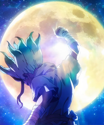 Dr. Stone - PillowHub