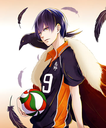 Haikyu - PillowHub