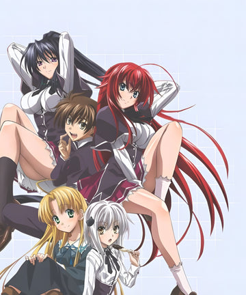 High School DxD - PillowHub